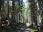 ...und wandern über einen Waldweg...