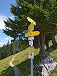 ...und wir treffen auf einen Querweg