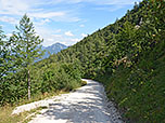 Der Fahrweg leitet uns hinunter...