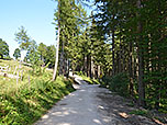 ...und kommen zum Abzweig unweit der Bergstation