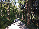 ...und wandern über den steilen Weg zügig bergab