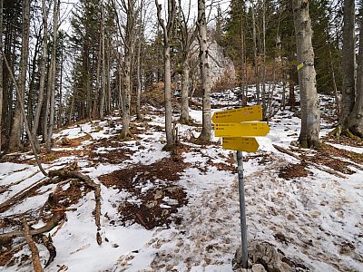 ... setzen wir unseren Weg geradeaus fort.