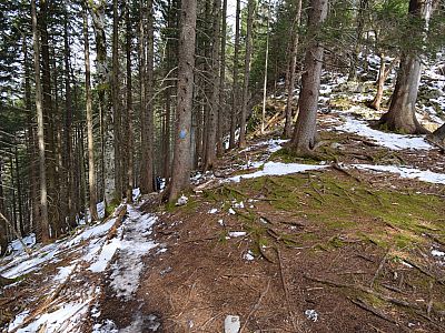 Hier links an dem blauen Punkt vorbei