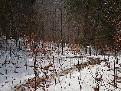 In zahlreichen Serpentinen verlieren wir schnell an Höhe