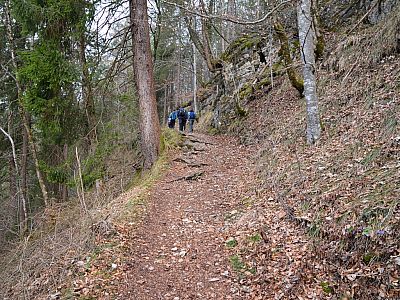 ... und steigen durch den Wald weiter auf.