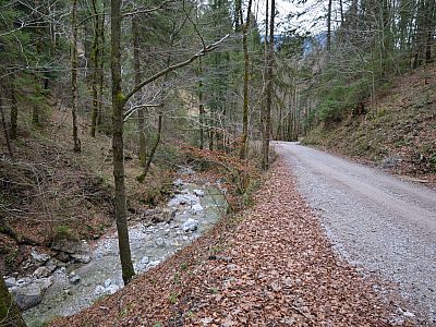 Entlang des Gebirgsbachs ...