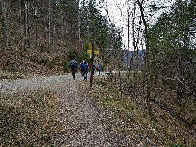 An dem Forstweg halten wir uns rechts und wechseln  nach 30 m wieder links auf den Steig