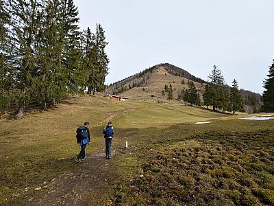 ... die Almwiesen der Oberauerbrunstalm