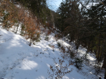 Die Straße wird zum Pfad und führt in den Wald