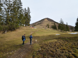 ... die Almwiesen der Oberauerbrunstalm