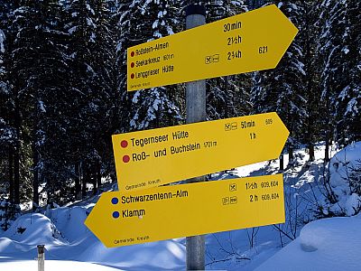 ... und steigen anschließend weiter zu den Roßsteinalmen auf.