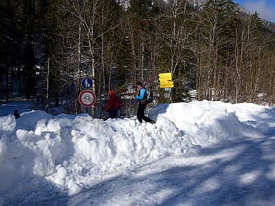 Hier verlassen wir die Forststraße und überqueren den Schwarzenbach 