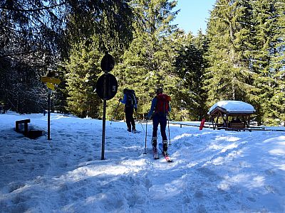 Hier treffen wir wieder auf die Forststraße