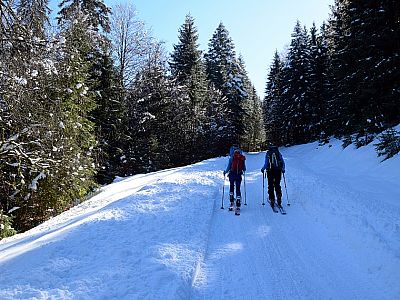 Gemütlich geht es weiter bergauf