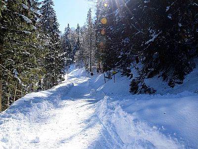 Hier zweigen wir scharf links ab...