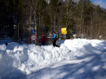 Hier verlassen wir die Forststraße und überqueren den Schwarzenbach
