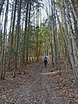 ...und durch dichten Bergwald