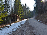 Schließlich mündet unser Pfad in einen breiten Forstweg, ...