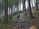 Über einen Waldpfad geht es hinauf...