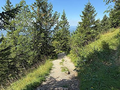 Durch den Wald...