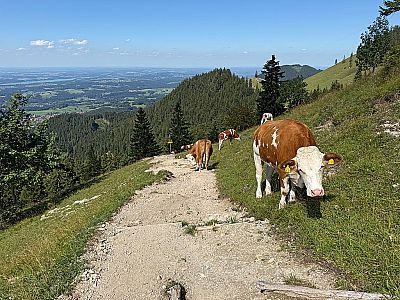 Vorschaubild 11
