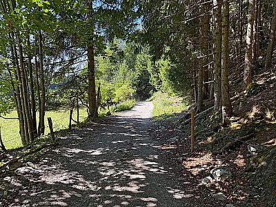 Nach einem Waldstück...