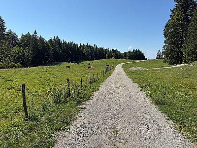 ...passieren wir die Almwiesen der Linderalm...