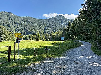 ...und erreichen wieder den Abzweig zur Doaglalm