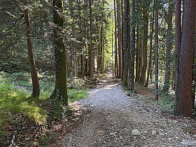 ...zum Wanderparkplatz Spatenau