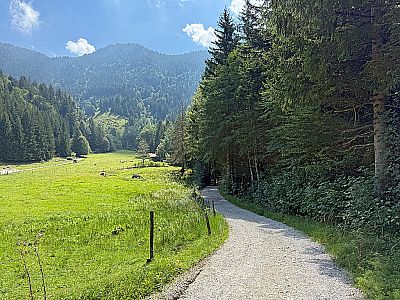 Hier biegen wir rechts ab Richtung Feichteck