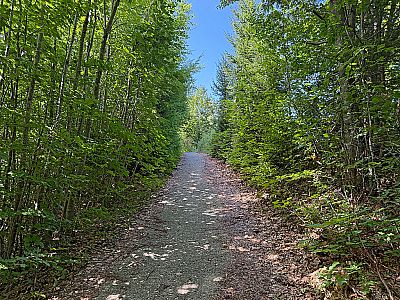 ...und folgen weiter der Route Richtung Feichteck