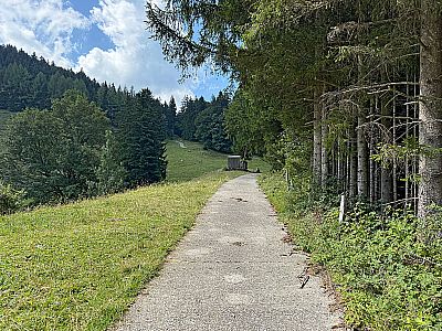 In südöstlicher Richtung steuern wir auf den Bergwald zu