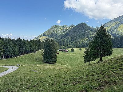 Blick zurück zur Doaglalm