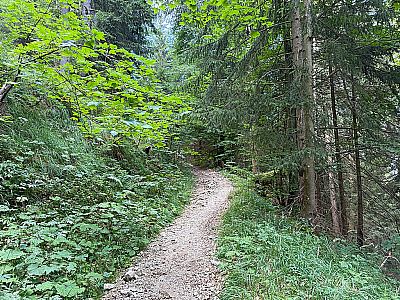 ...in Kehren bergauf