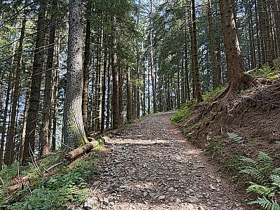Der breite Weg...