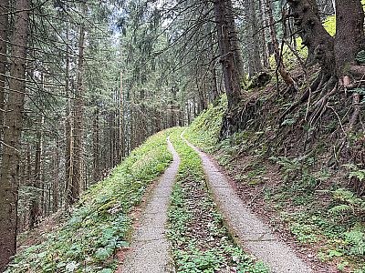 ...geht schon bald in einen Karrenweg über