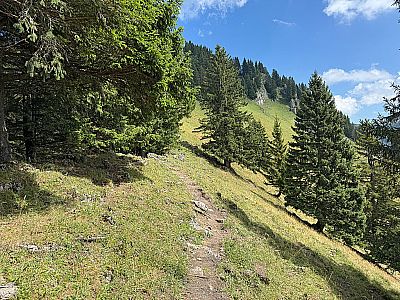 ...und schlagen so den Gipfelweg zum Karkopf ein