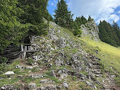Vorschaubild 6