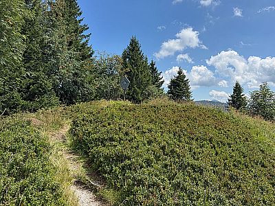 Vorschaubild 7