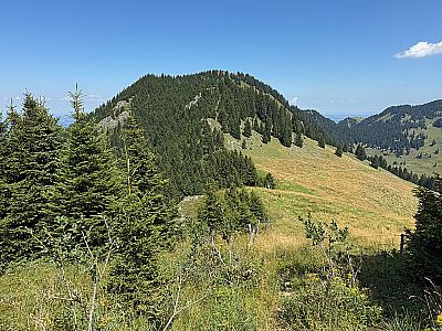 Mit Blick zur Hochries wandern wir bergab