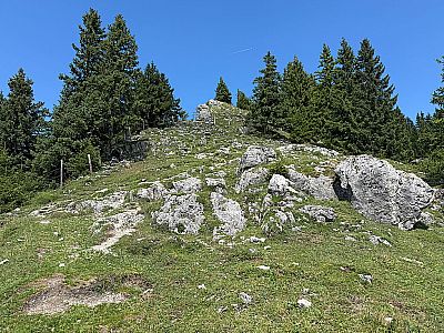 Vorschaubild 8