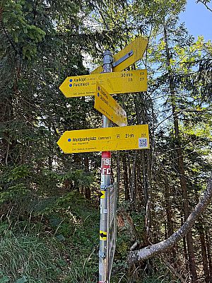 Dort treffen wir auf den Anstiegsweg von der Seitenalm