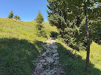 Stets leicht rechts des Kammverlaufs bleibend...