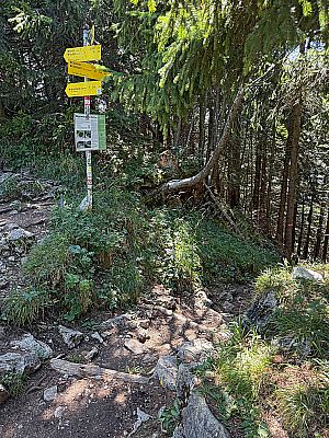 ...zum Wegweiser am Kammverlauf