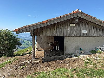 Wir passieren eine Stallung...