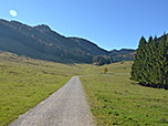 Weiter geht es über den breiten Forstweg...
