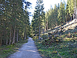 ...mündet wiederum in den breiten Forstweg