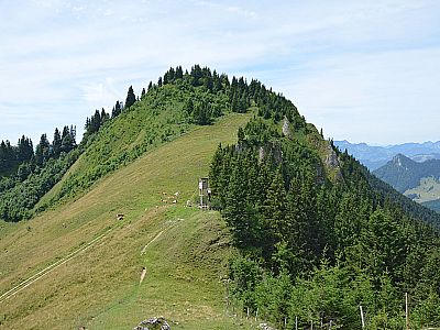 Vorschaubild 4