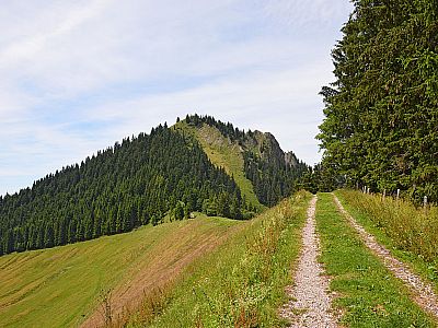 Vorschaubild 5