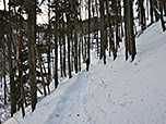 ...und steigen durch den Wald weiter aufwärts
